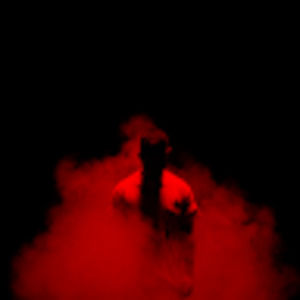 Meet your Posher, Rvnes